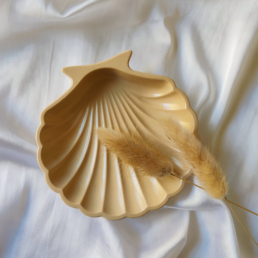 Cream Shell Dish